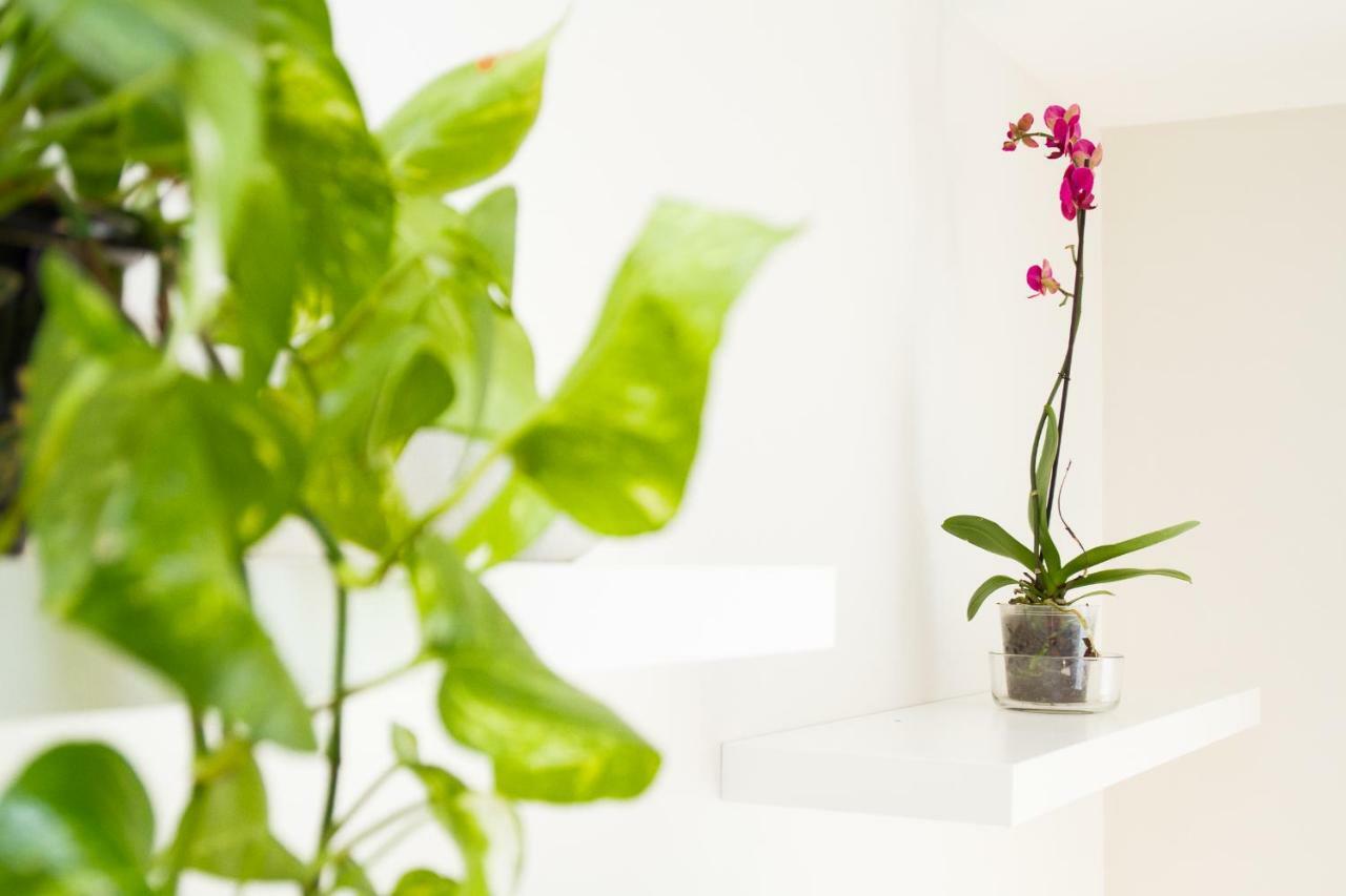 Charming Apartment In Pedregalejo Málaga Esterno foto